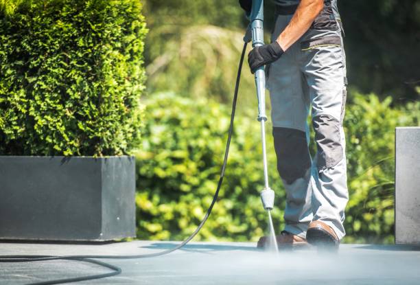 Best Building Exterior Washing  in Woody, WA