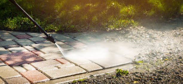 Best Animal Enclosure Cleaning  in Woody, WA