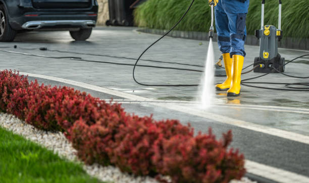 Best Solar Panel Cleaning  in Woody, WA
